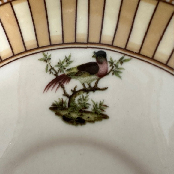 Burton & Burton Birds of Beauty Porcelain Tea Cup & Saucer Bird Center, Geo Rim - Picture 10 of 16